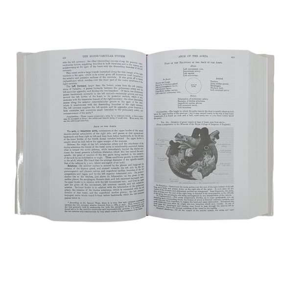 Grays Anatomy Henry Gray Hardback Book Dust Jacket 15th Edition 2012 - Picture 9 of 12